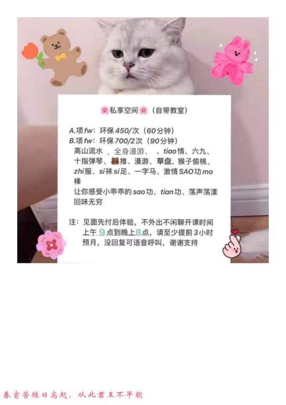 国贸环保小燕子 第3张