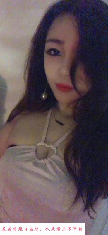 宝安翻身小肥猫 第3张
