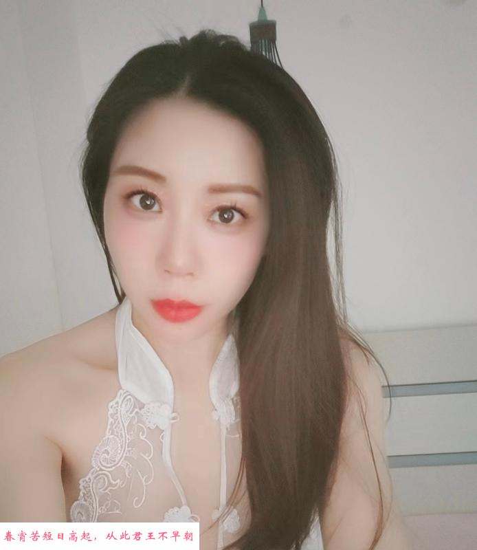 南开向日葵 第1张