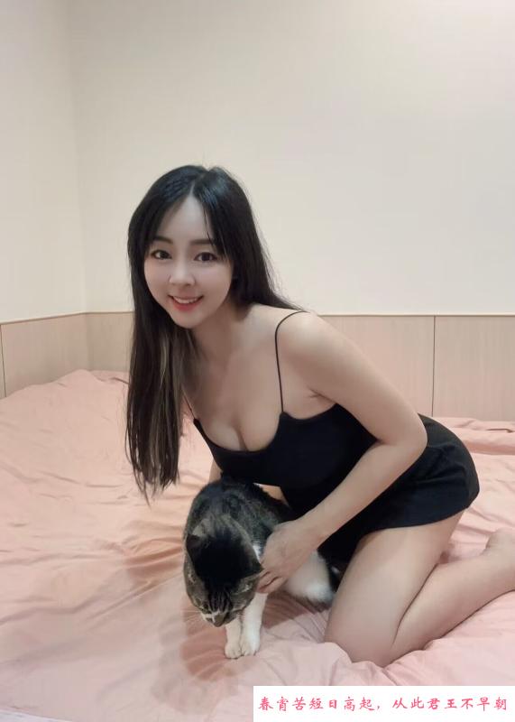 汉阳小公主 第1张