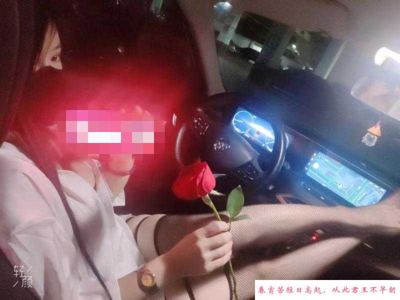 车震百合姐姐 第3张
