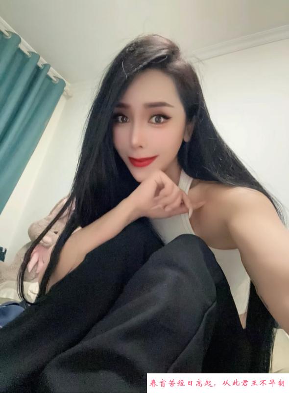 千凝小姐姐回归 第1张