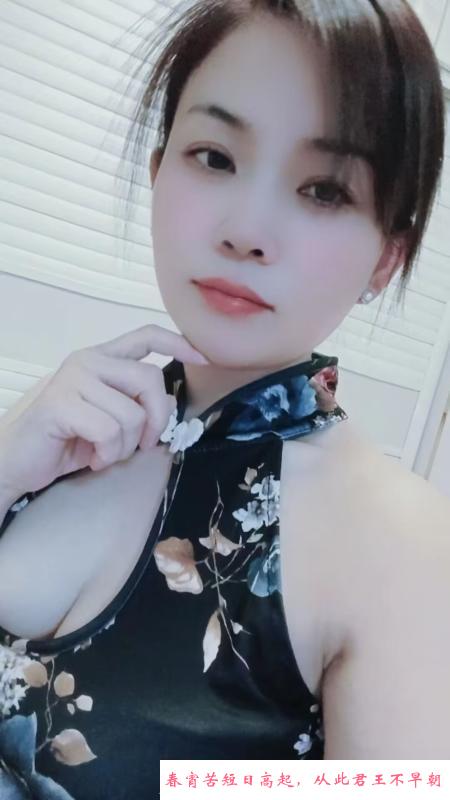 沈阳南方小少妇 第1张